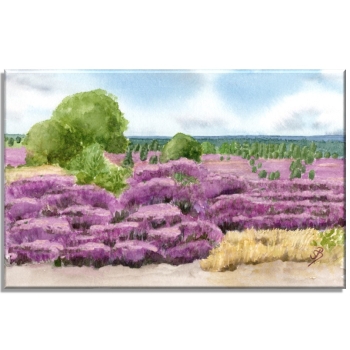 Leinwand 40 x 30 cm Keilrahmen Canvas-Leinen  Aquarell Kunst Druck Kunstdruck Lüneburger Heide Lüneburg Landschaft Kutsche Kutschfahrt